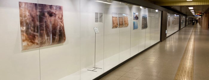 Sapporo Odori 500-m Underground Walkway Gallery is one of 北.