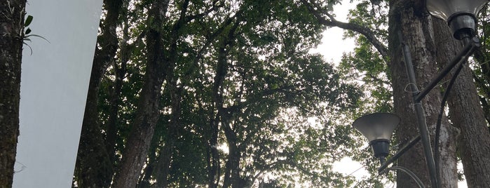 Plazas del Bosque is one of Ibagué.