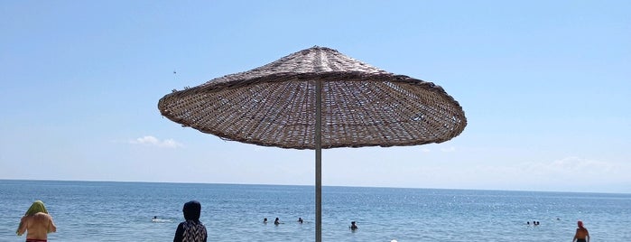 Diyojen Beach Bar is one of Sinop.