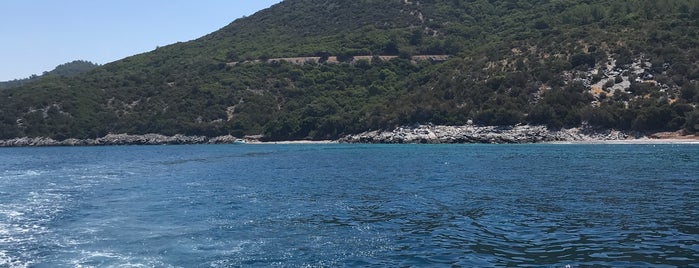 Afrodit Plajı is one of Biten.