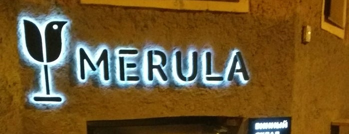 Merula Wine Bar & Shop is one of Бары.