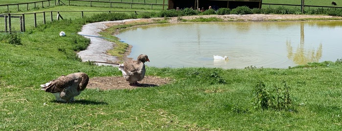 Hatfield Park Farm is one of Welwyn Garden City.