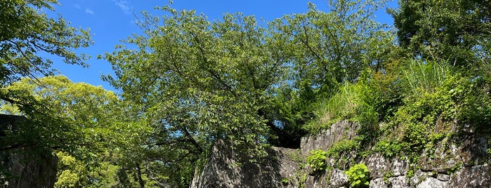 新宮城跡 (丹鶴城公園) is one of 行ったことのある城.
