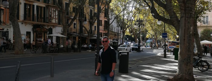 Bodega La Rambla is one of Ruta de la caña en Palma.