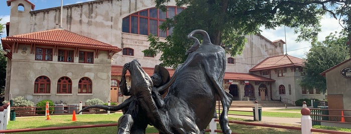 Fort Worth Stockyards National Historic District is one of Touristy things I want to see.