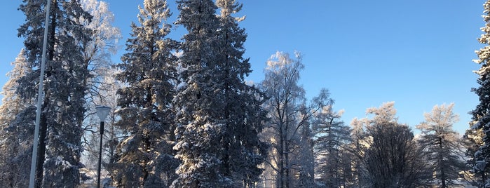 Puistopaviljonki is one of Oleskelupaikkoja.