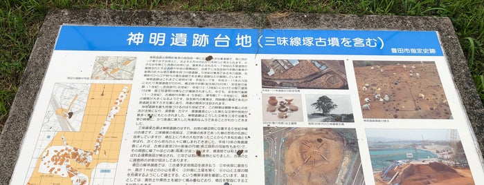 神明遺跡台地公園 is one of 愛知②三河.