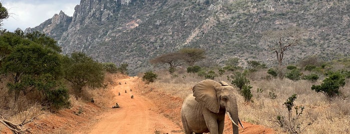 Tsavo West National Park is one of Africa.