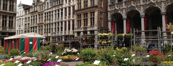 Grand Place / Grote Markt is one of สถานที่ที่ David ถูกใจ.