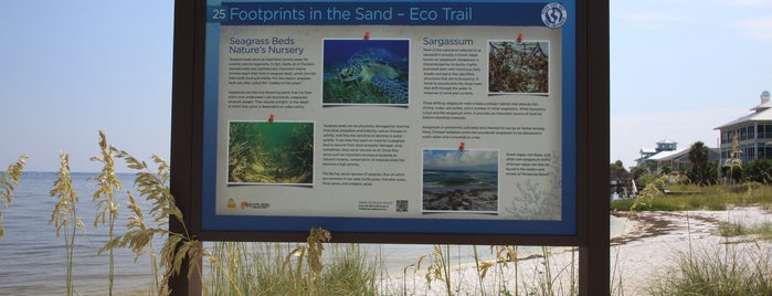 Stop 28 - Pensacola Beach Eco Trail is one of Pensacola Beach Eco Trail.