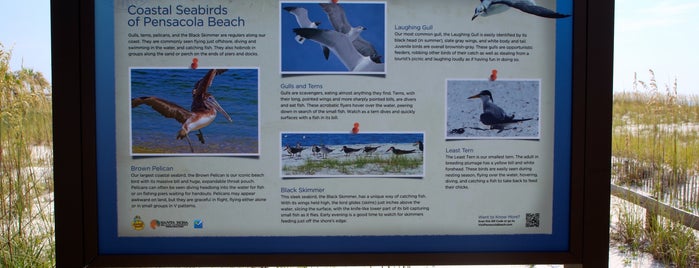 Stop 22 - Pensacola Beach Eco Trail is one of Pensacola Beach Eco Trail.