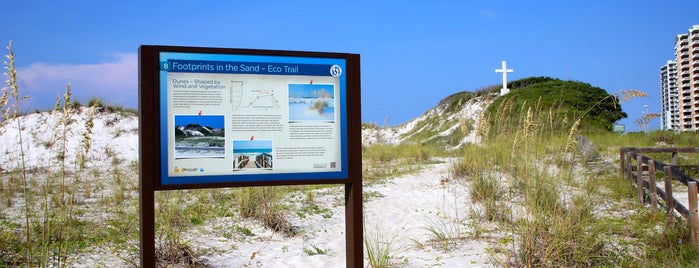 Stop 8 - Pensacola Beach Eco Trail is one of ECO TOURS.