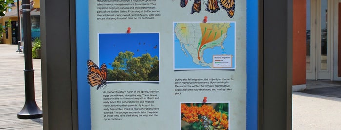 Stop 1 - Pensacola Beach Eco Trail is one of ECO TOURS.
