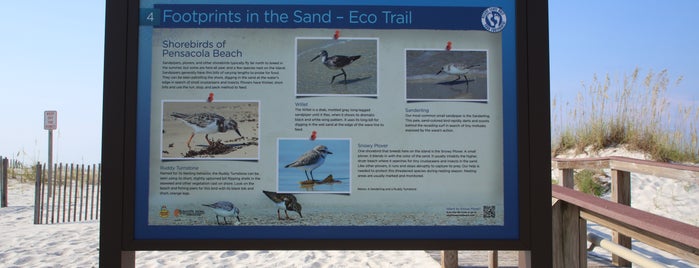 Footprints in the Sand Eco-Trail