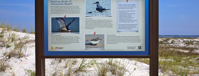 Stop 23 - Pensacola Beach Eco Trail is one of Pensacola Beach Eco Trail.