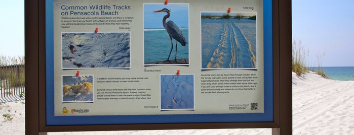 Stop 18 - Pensacola Beach Eco Trail is one of ECO TOURS.