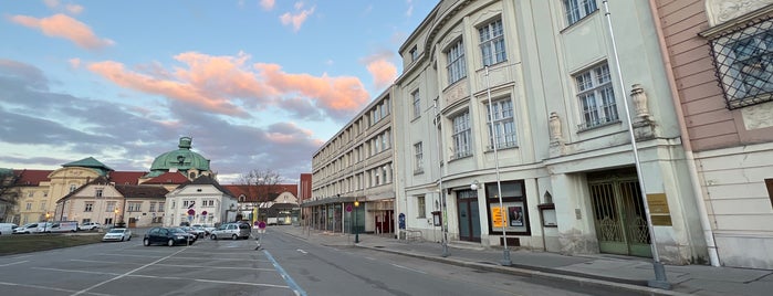 Babenbergerhalle is one of CLIMBING.PLUS.Spots.