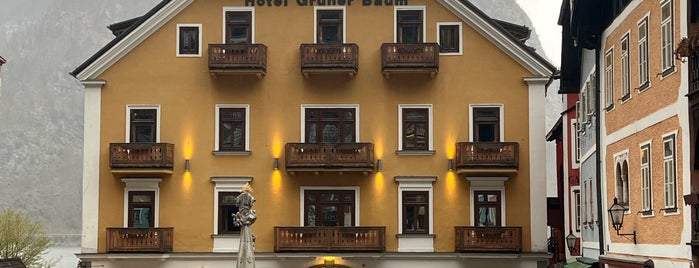 Seehotel Grüner Baum is one of Avusturya.