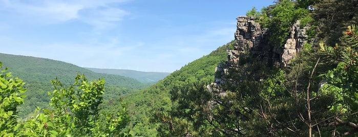 Lover's Leap is one of Around town.