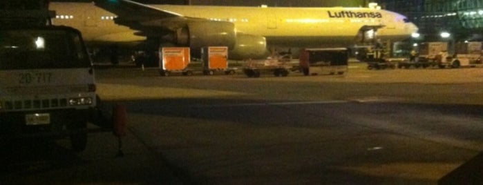 United Airlines Fight UA 838 is one of BKK Pre-Flight.