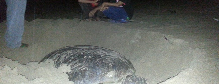 Pantai Pangumbahan is one of Beach.