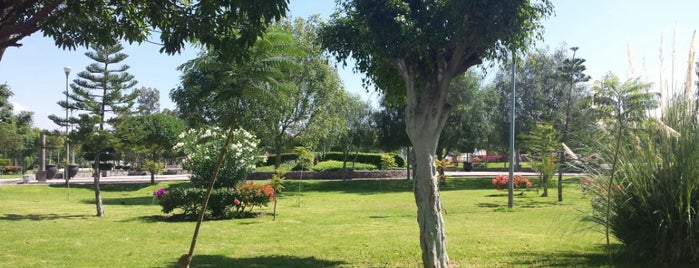 Parque Residencial Italia is one of Lugares favoritos de Jose.