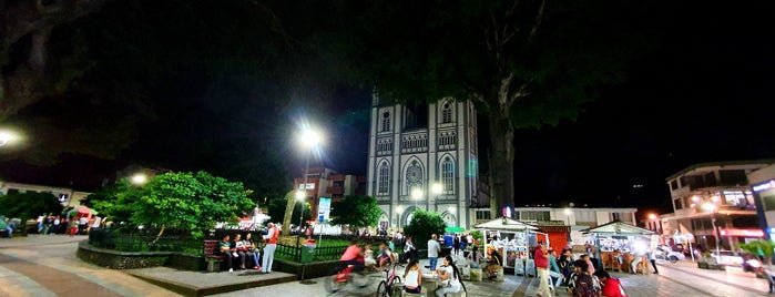 Parque De Bolívar is one of Lugares.