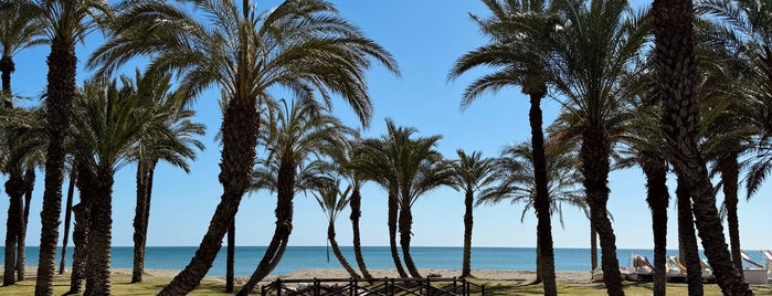 Playa de Los Álamos is one of Caffee shop&breakfast.