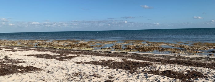 Loggerhead Beach is one of USA Key West.