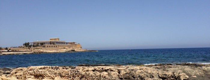 Paceville Rock Beach is one of Malta.
