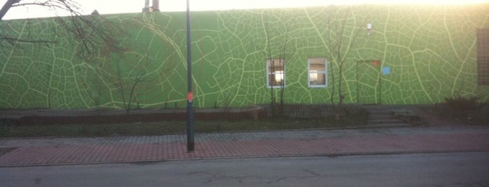 Ekomural is one of Street Art w Krakowie: Graffiti, Murale, KResKi.