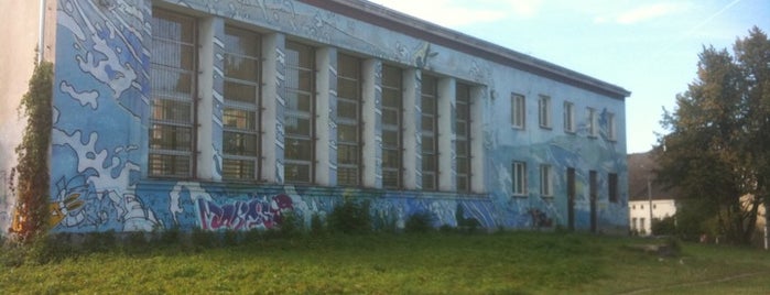 Mural na Szkole is one of Street Art w Krakowie: Graffiti, Murale, KResKi.