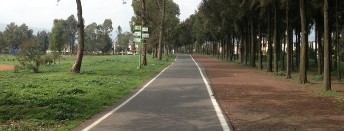 Bosque de Tláhuac is one of Locais curtidos por Ana.