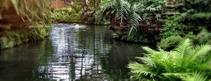 Garfield Park Conservatory is one of Chicago Zen Spots.