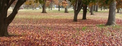 Phelps Grove Park is one of Lieux qui ont plu à Michael.