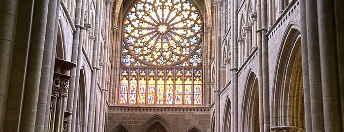 Cathédrale Saint-Vincent-de-Saragosse is one of catedrales.