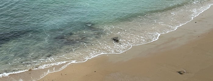 Plage du Sillon is one of France.