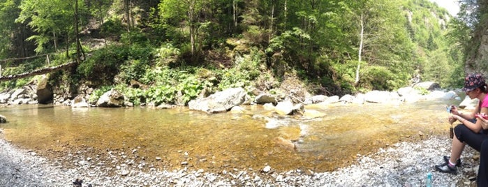 Parcul Natural Putna - Vrancea is one of Parcuri Naționale și Naturale.