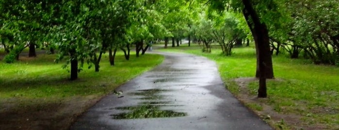 Волжский бульвар is one of Lieux qui ont plu à Balashov.