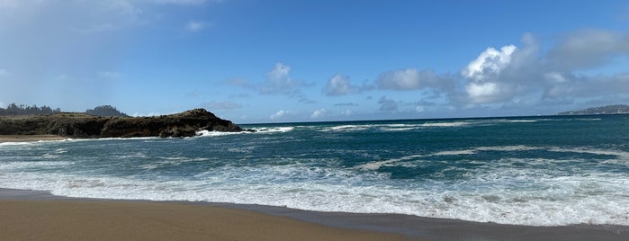 Monastery Beach is one of Carmel-by-the- Sea.