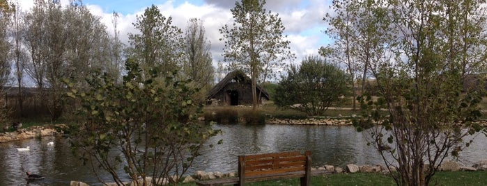 Parque Arqueológico de Atapuerca is one of Cristina 님이 좋아한 장소.