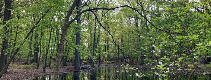 Rye Nature Center is one of Glenda: сохраненные места.