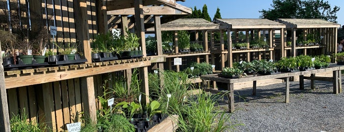 The Green Thumb is one of Hamptons Eats / Out.