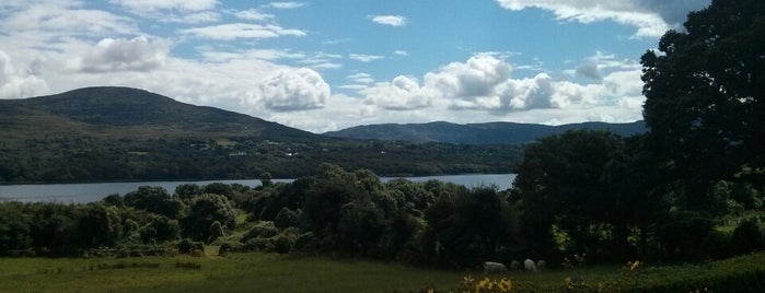 Sea Shore Farm Guesthouse is one of Cool Places in Ireland.