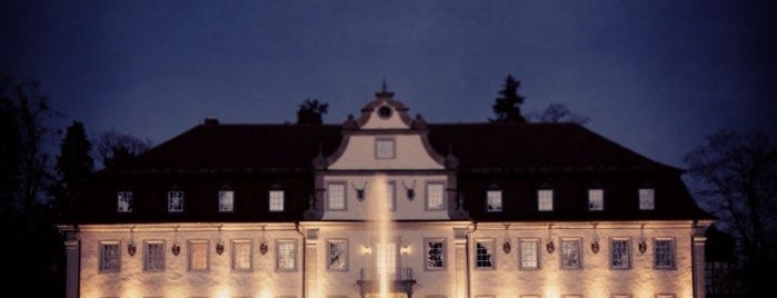 Wald & Schlosshotel Friedrichsruhe is one of สถานที่ที่ Steffen ถูกใจ.