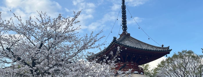 喜多院 多宝塔 is one of 川越.