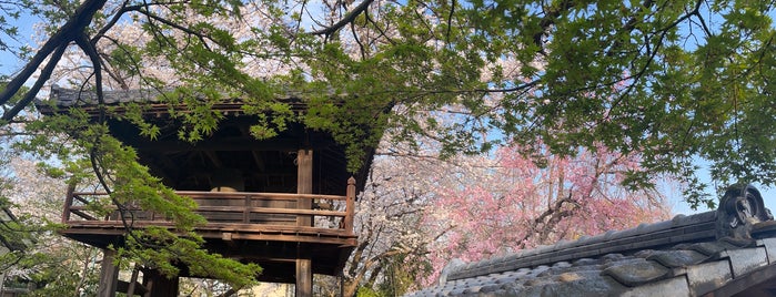 天台宗別格本山 中院 is one of 川越.