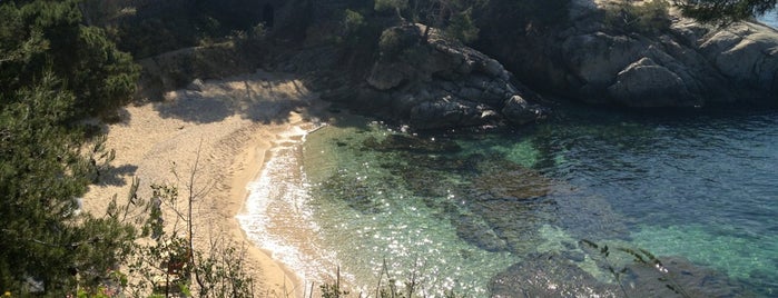 Cala el Pi is one of PLAYAS y CALAS COSTA BRAVA.