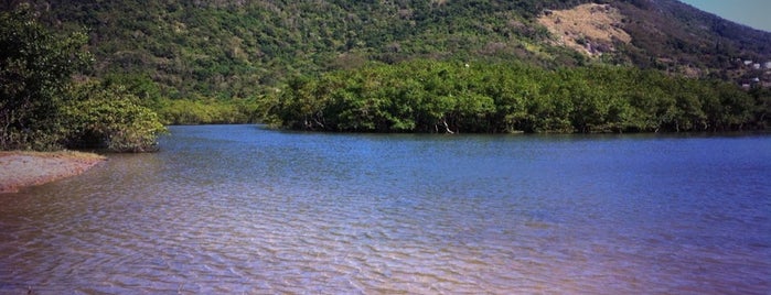 Ilha de Guaratiba is one of LUGARES.