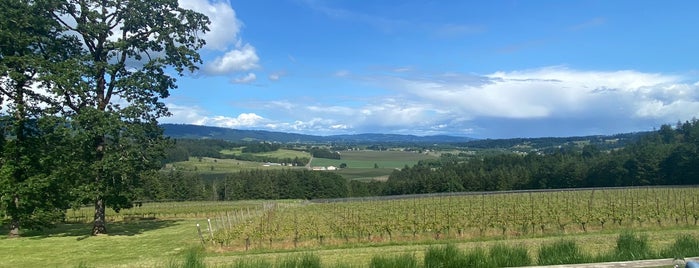 Penner Ash Wine Cellars is one of Oregon vineyards.